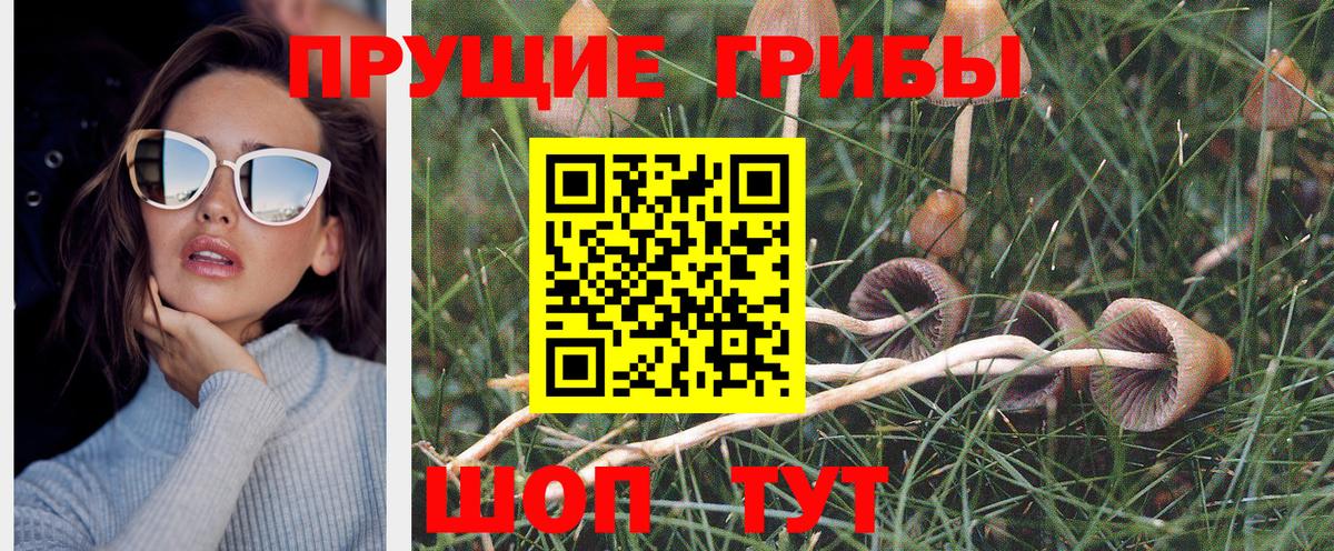 Галлюциногенные грибы мухоморы Реутов