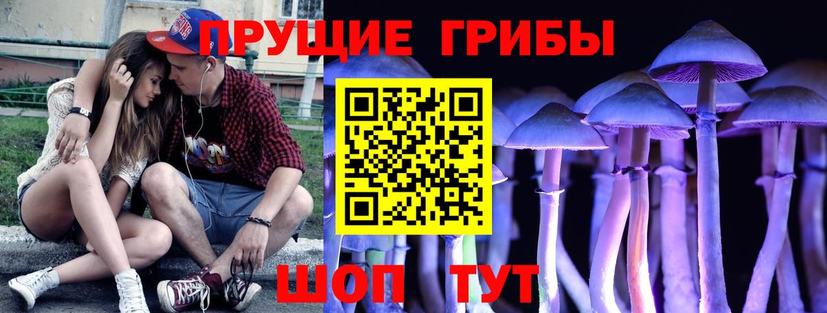 Галлюциногенные грибы Psilocybe  Вход с VPN  Реутов  Галлюциногенные грибы Psilocybine cubensis 